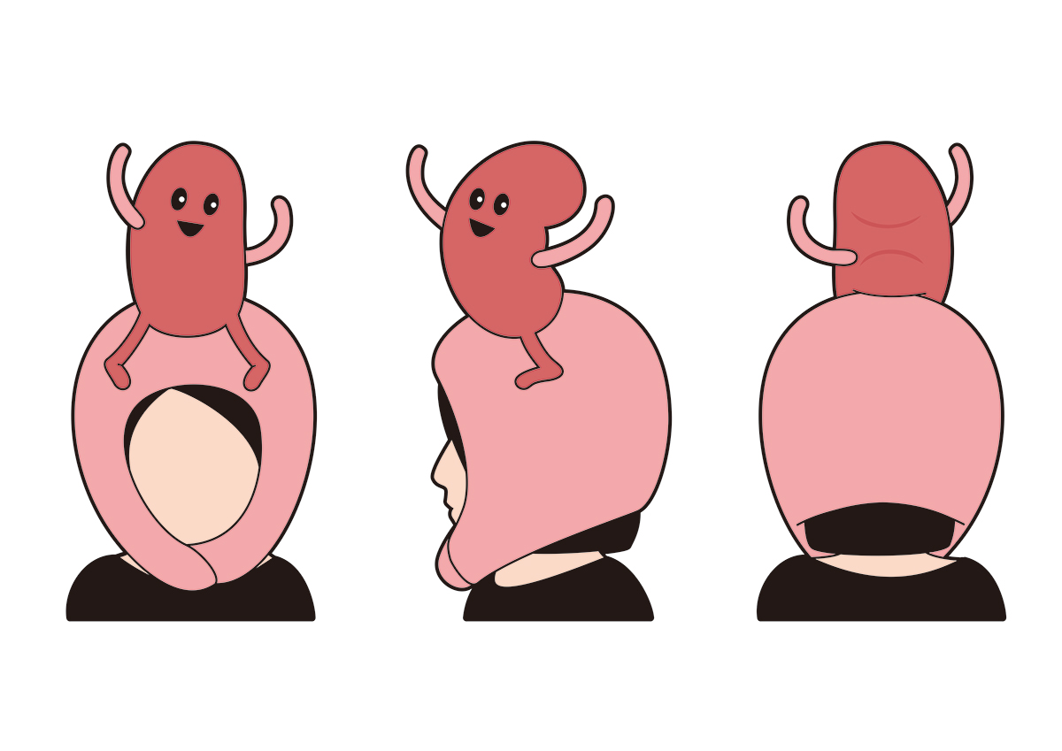 腎臟玩偶頭套設計