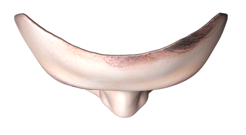 3D建檔人像面具02