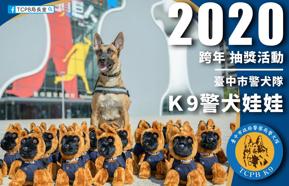 81006289_1347701022100096_6236345384839413760_o