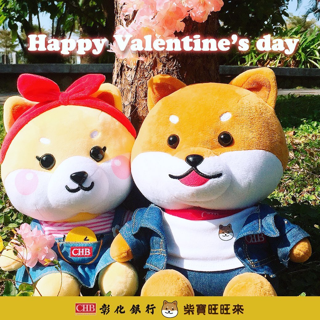 84348378_597683833966056_6881781627179477635_n