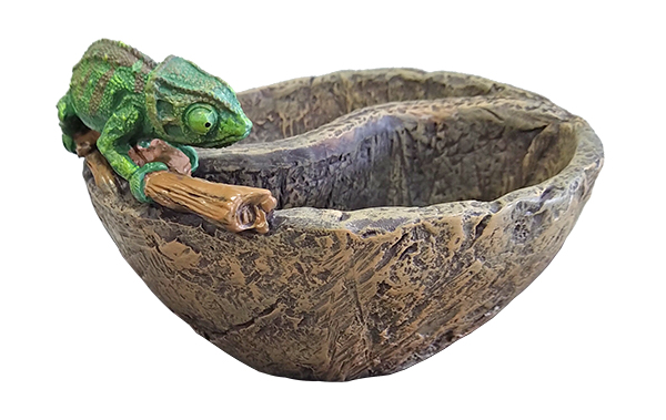 IMG_20190701_102330-1