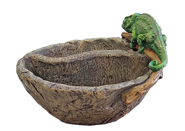 IMG_20190701_102355-1